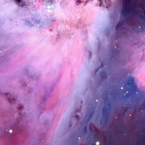 Meet your Posher, Jen